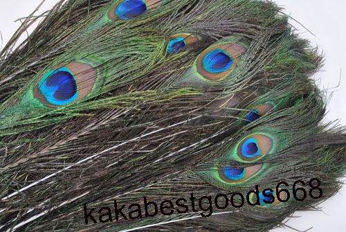 HOT SALE Real Peacock Tail Feathers Hair Extensions Crafts Arts PP90 