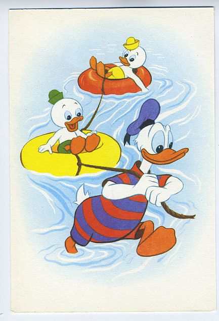 Walt DISNEY Donald Duck Swimsuit vintage 1963 postcard  
