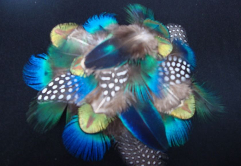PLUMAGE MIX #2 BLUE GREEN GOLD PEACOCK GUINEA FEATHERS  